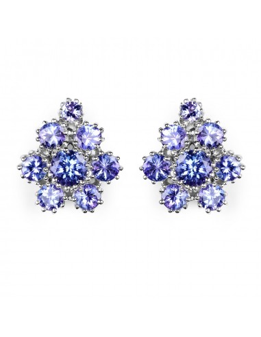 4.26 Carat Genuine Tanzanite .925 Sterling Silver Earrings pour bénéficier 